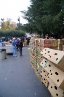 Thanksgiving Food Distribution 0004