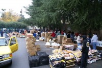 Thanksgiving Food Distribution 0012