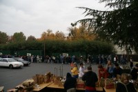 Thanksgiving Food Distribution 0015