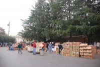 Thanksgiving Food Distribution 0033