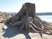 Union Valley Camp Out 0062