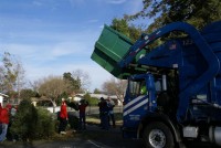 Christmas Tree Recycling 08-09 0022 (Medium)