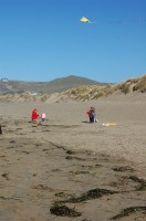 Dillon Beach Camp Out 0024