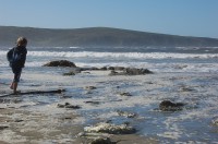 Dillon Beach Camp Out 0028