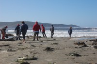 Dillon Beach Camp Out 0029