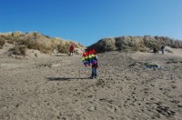 Dillon Beach Camp Out 0044