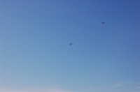 Dillon Beach Camp Out 0072