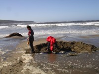 Dillon Beach Camp Out 0107