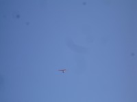 Dillon Beach Camp Out 0114