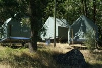 Summer Camp - Royaneh 4-0011 (Large)