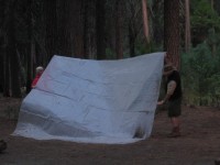 Yosemite Camp Out 0030 (Large)