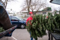 Christmas Tree Recycling 0014