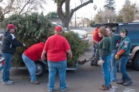 Christmas Tree Recycling-December 0012