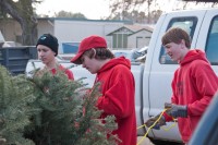 Christmas Tree Recycling-December 0014