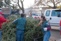 Christmas Tree Recycling-December 0016