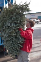 Christmas Tree Recycling-December 0020