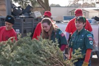Christmas Tree Recycling-December 0021