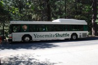 Yosemite Camp Out 0035