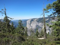 Yosemite Camp Out 0115