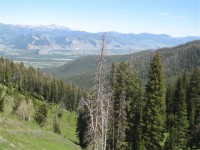 Camp Cody - Yellowstone 0022