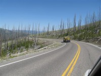 Camp Cody - Yellowstone 0105