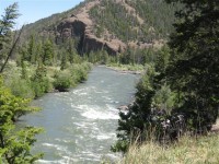 Camp Cody - Yellowstone 0185