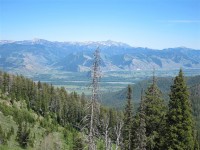 Camp Cody - Yellowstone 0256