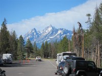 Camp Cody - Yellowstone 0275