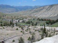 Camp Cody - Yellowstone 0311