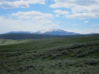 Camp Cody - Yellowstone 0347