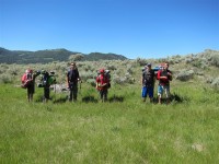 Camp Cody - Yellowstone 0364