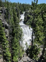 Camp Cody - Yellowstone 0385