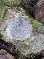 Mt. Wittenberg Hike 0021