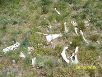 Camp Cody - Backpacking 0026