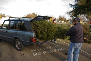Christmas Tree Recycling 0006