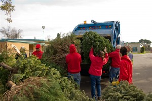 Christmas Tree Recycling 0021