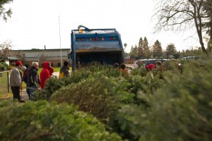 Christmas Tree Recycling 0024