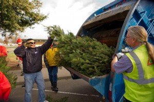 Christmas Tree Recycling 0025