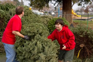 Christmas Tree Recycling 0045