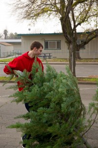 Christmas Tree Recycling 0059
