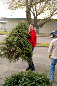 Christmas Tree Recycling 0060