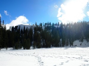 Snow Camp Out - Donner 0022