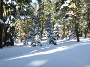 Snow Camp Out - Donner 0203