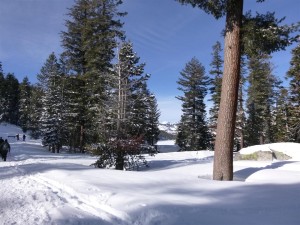 Snow Camp Out - Donner 0205