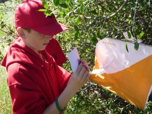 Spring Camporee 0032