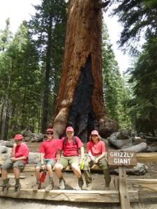 Yosemite Camp Out 0123