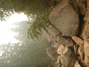 Yosemite Camp Out 0164