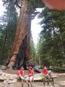 Yosemite Camp Out 0179