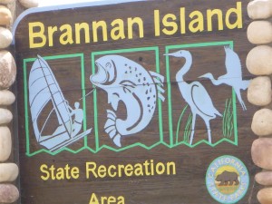Brannon Island Camp Out 0018