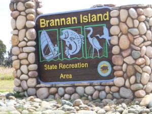 Brannon Island Camp Out 0019